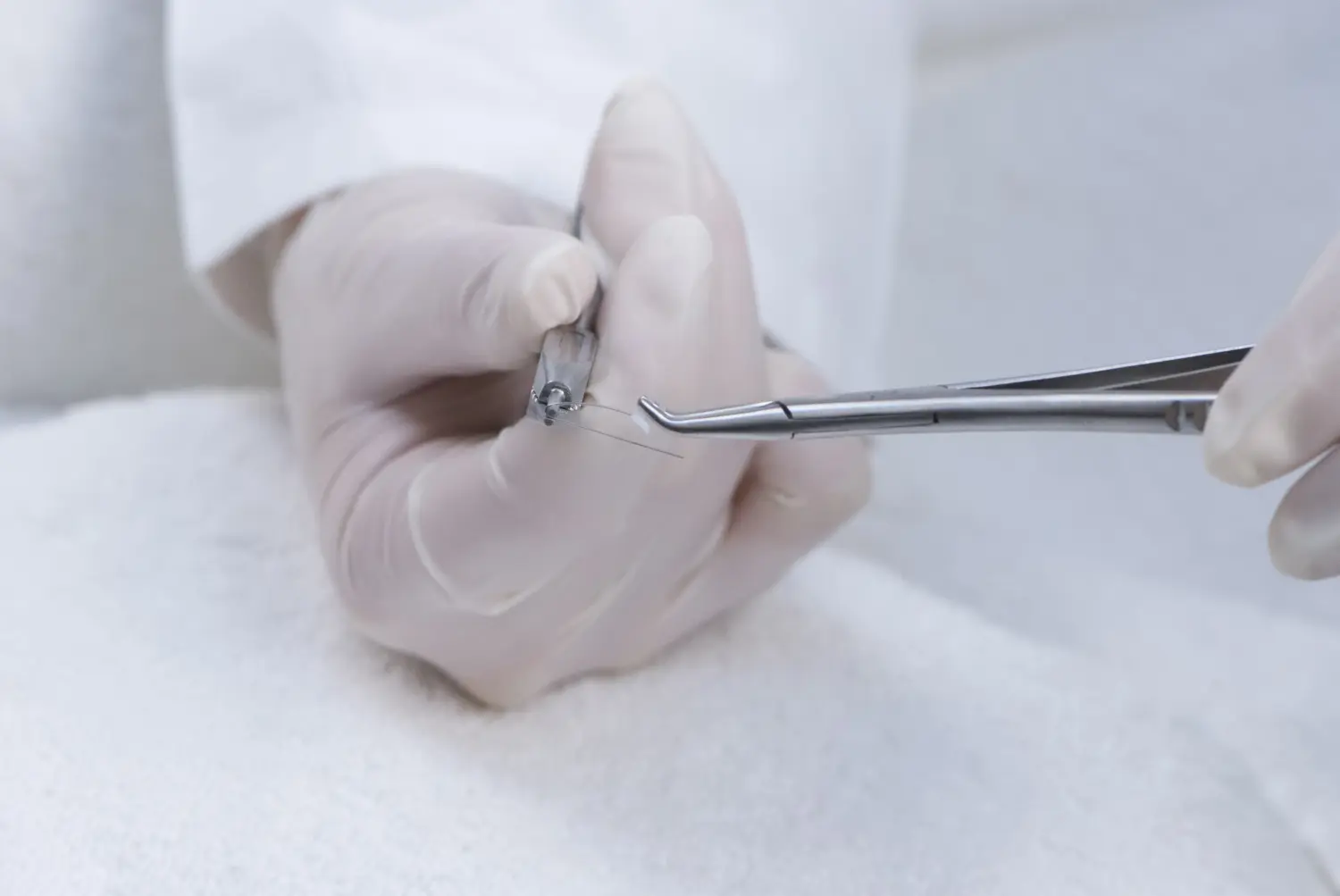 Wimpernverlängerung Schulung ,  Wimpernverlängerung Kurs ,  Wimpernextension Kurs ,  Wimpernverlängerung Ausbildung ,  Lash extension Kurs ,  Lash extensions Schulung ,  Wimpernstylistin Schulung ,  Wimpernstylistin Ausbildung ,  Wimpernschulung ,  Wimpern Volumen Schulung ,  Aquafacial Schulung -Lomi Massage Ausbildung ,  Lomi Massage Kurs ,  Lomi Ausbildung ,  Lomi Seminar ,  Lomi Kurs ,  Wellness Massage Kurs ,  Wellness Massage Ausbildung